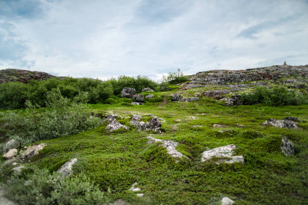 View of a rocky hill covered with moss, grass and small bushes
