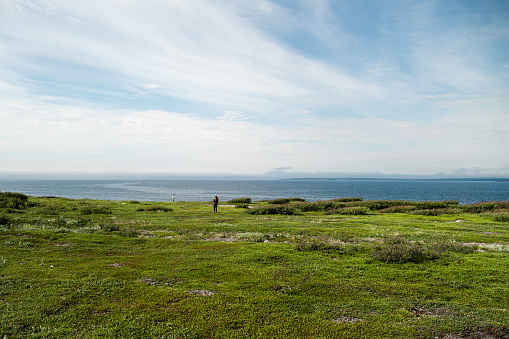 View from the green meadow to the Barents sea in the arctic tundra