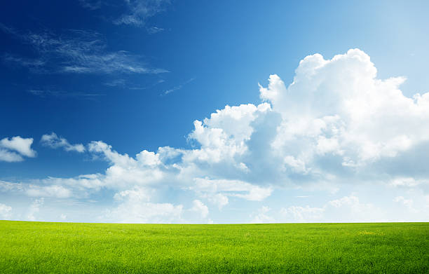 istock field of grass and perfect sky 121005788