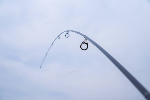 Fishing rod is bent and fully tensed. Rod rings.