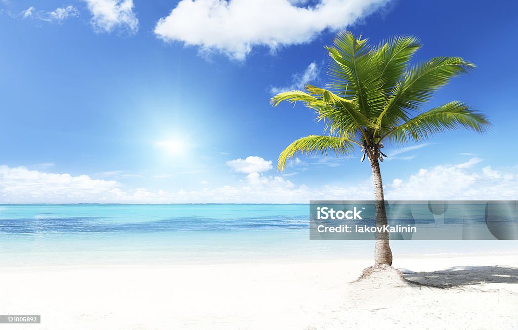 Palmas das mãos e beach - Royalty-free Palmeira Foto de stock