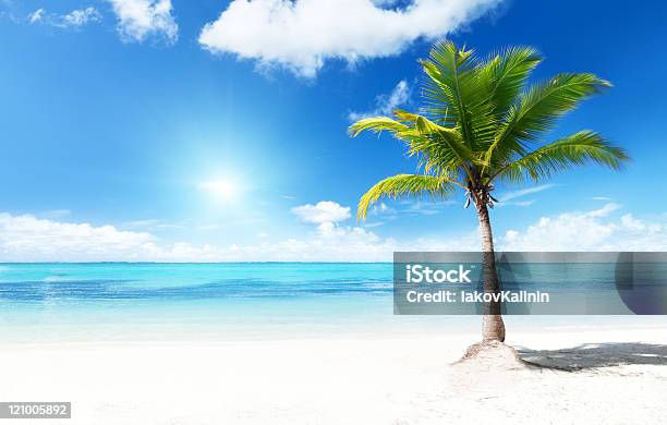 Palmas Das Mãos E Beach - Fotografias de stock e mais imagens de Palmeira - Palmeira, Praia, América Latina