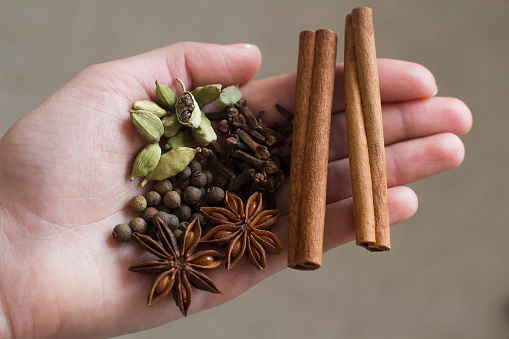 young woman holding cinnamon, cardamom, cloves, black aroma pepper, star anise in her hand
