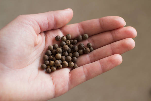 istock woman's hand full of black aroma papper 1210060959