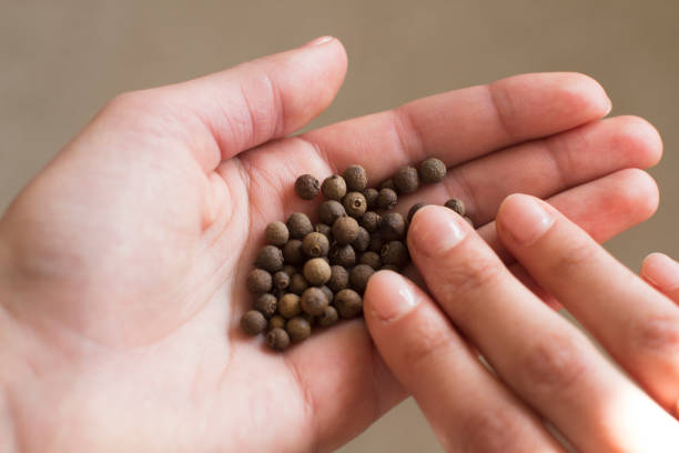 istock woman's hand full of black aroma papper 1210060965