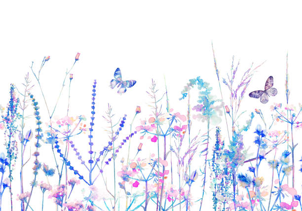 istock Floral seamless pattern. Summer flowers and Butterflies. Watercolor 1210065214