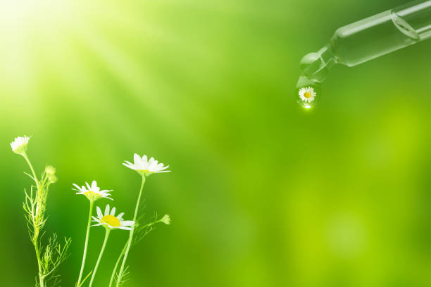 kropla pipety z esenną rumianku spada na abstrakcyjnym świeżym tle - drop defocused focus on foreground herbal medicine zdjęcia i obrazy z banku zdjęć