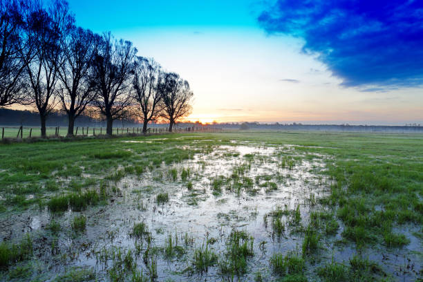 istock Sunrise, Meadow, Wetland Terrain 1210072001