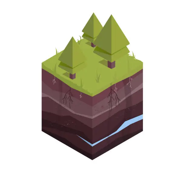 Vector illustration of Underground layers of earth, groundwater, layers of grass. Cross section subterranean landscape. Isometric vector illustration.