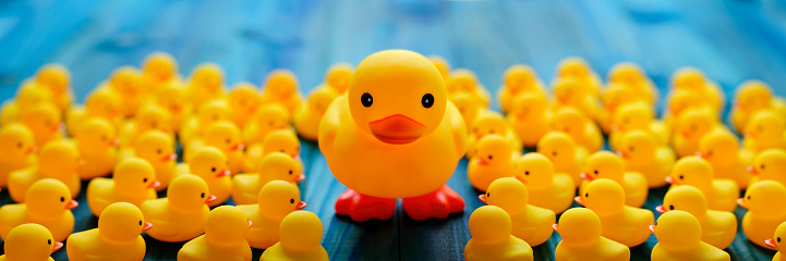 Large yellow duck standing higher up on two feet on a turquoise colored wooden board table background with a large crowd of small yellow rubber ducks surrounding the large duck, concept image of standing out from the crowd.