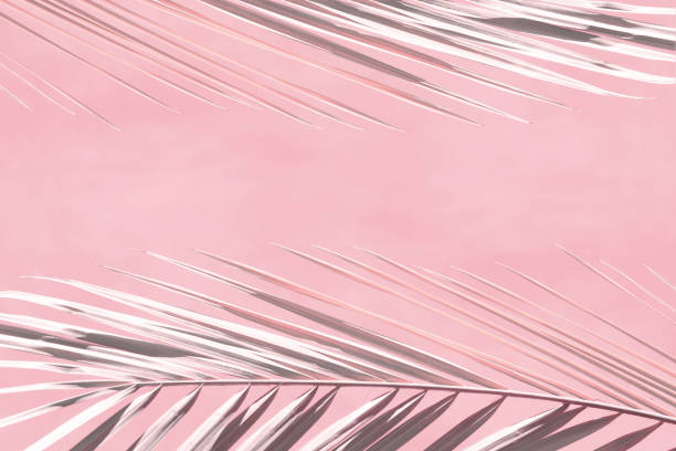 istock Abstract background coral color with gray branches of palm trees. 1210075112