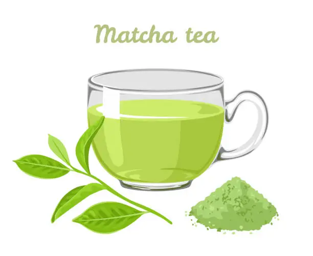 Vector illustration of Matcha tea in glass cup isolated on white background. Vector illustration of green tea leaf, powder and fragrant drink in cartoon flat style.