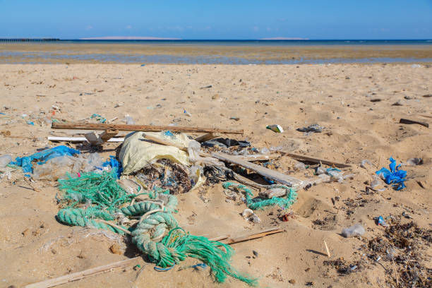 istock Washed up waste on the Egyptian beach 1210078750