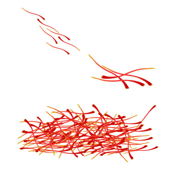 Saffron icon isolated on white background. vector art illustration
