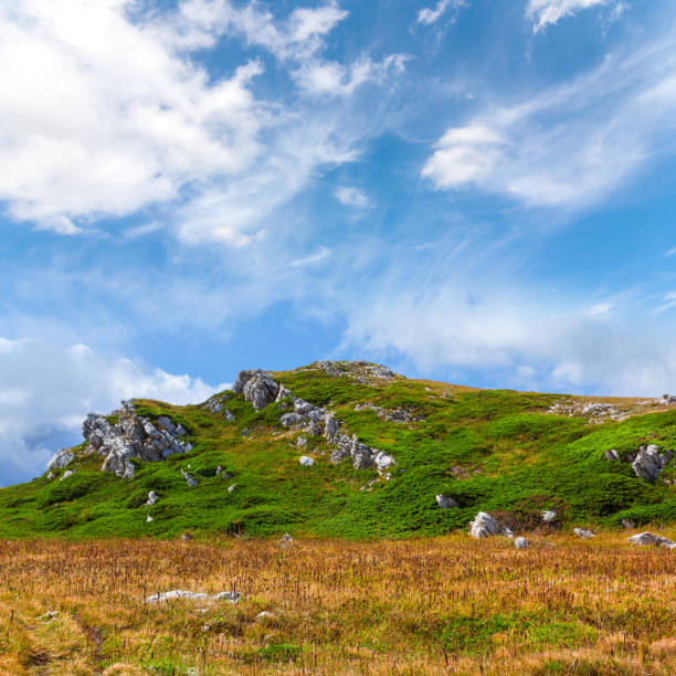 green hill among a prairie