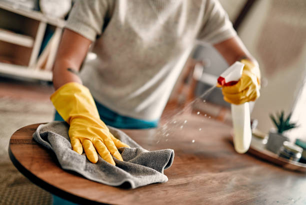 istock Cleaning the house 1210082256