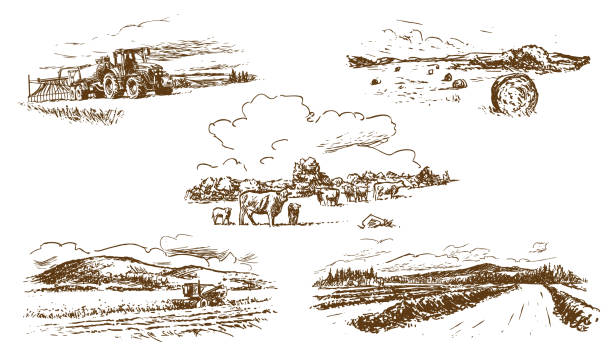 illustrazioni stock, clip art, cartoni animati e icone di tendenza di paesaggio rurale agricolo - agriculture field tractor landscape