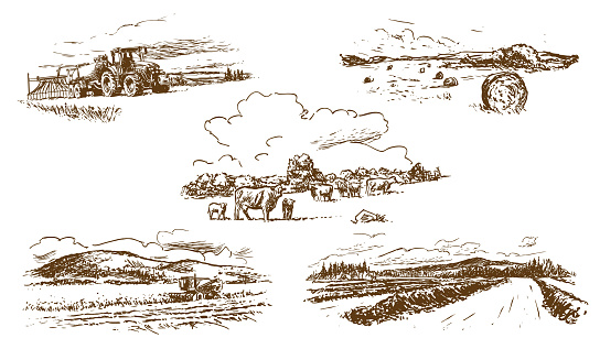 agricultural countryside landscape, set of hand-drawn illustrations