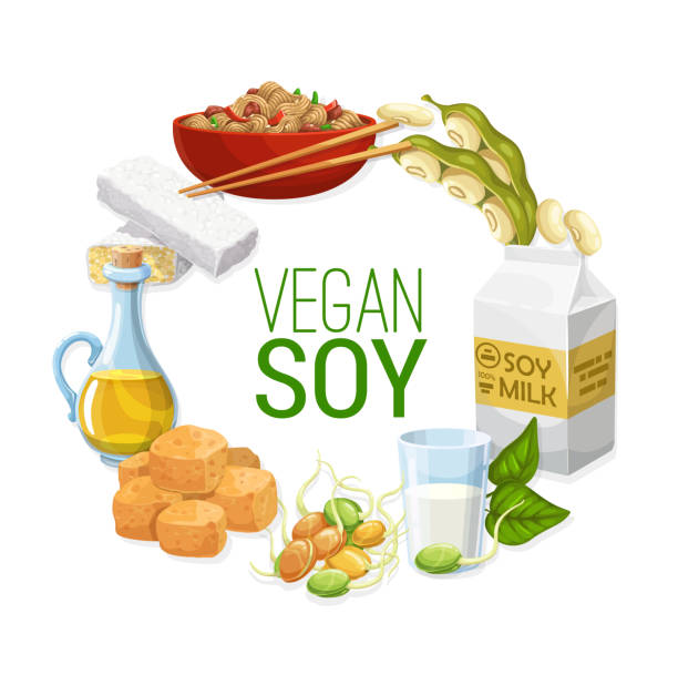 soja, mleko sojowe i olej, tofu, tempeh, mięso - tofu skin stock illustrations