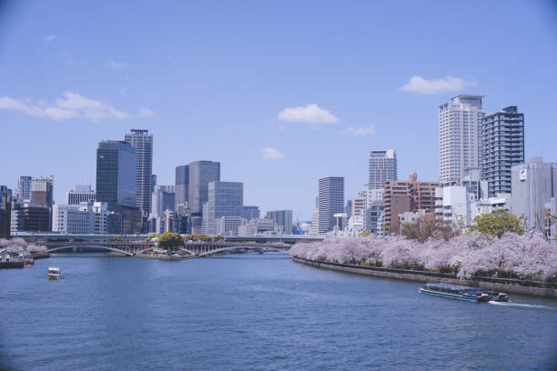 View the cherry blossoms around the Mint from the sunny Osaka Sakuranomiya Bridge stock photo
