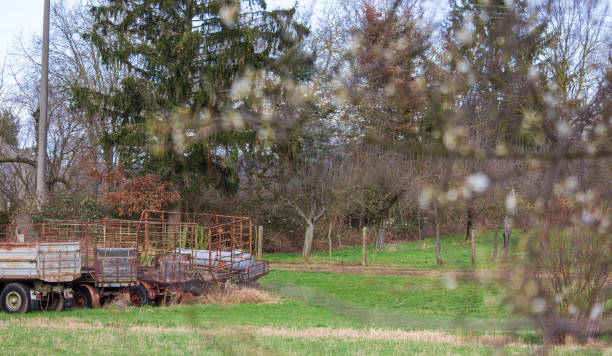istock old trailers from agriculture photographed through a bush 1210090247