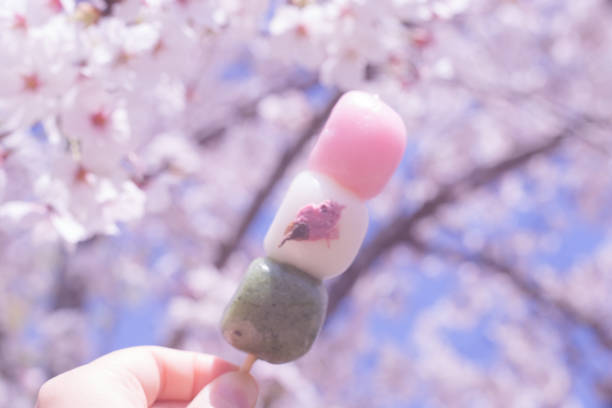 istock Beautiful cherry blossom sakura flowers and 