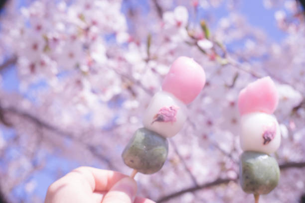 istock Beautiful cherry blossom sakura flowers and 