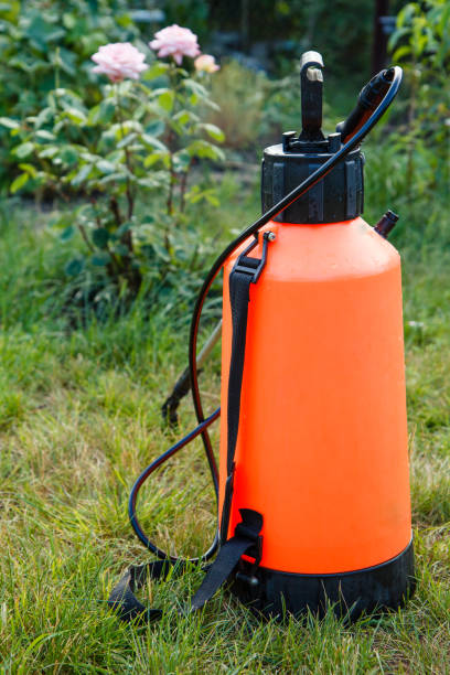 istock Fertilizer pesticide garden sprayer on green grass 1210091230