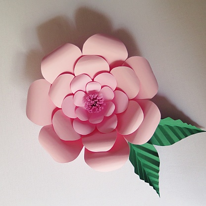 Pink paper flower on white background
