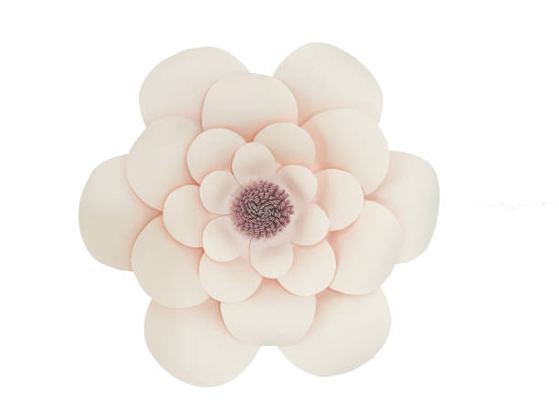 light pink paper flowers