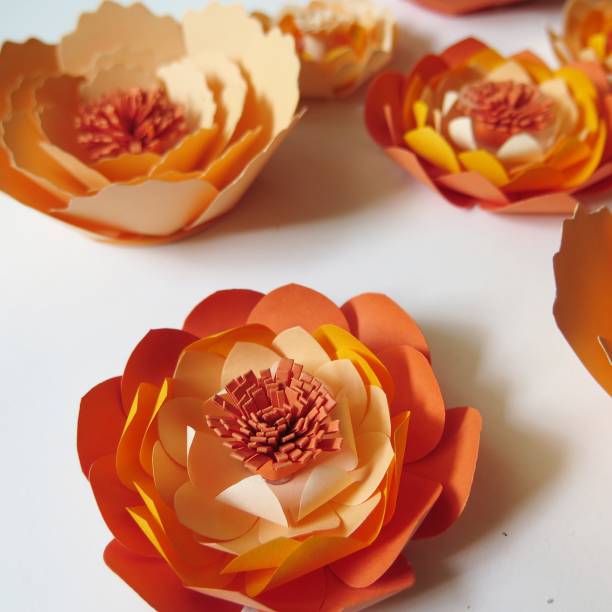 Orange paper flowers on white background