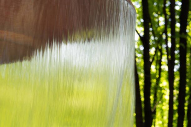 Water flowing from a fountain in a park against a forest background.