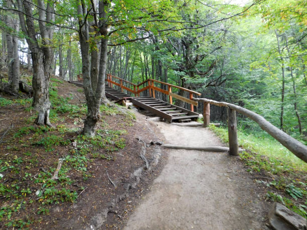 istock A wooden path in Patagonia 1210100563
