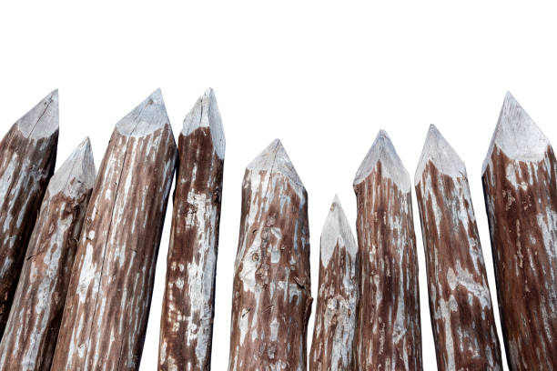 istock picket fence made of tree trunks isolated on white background 1210102554