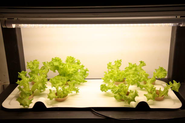 istock Sustainable Agriculture Industry 1210102728