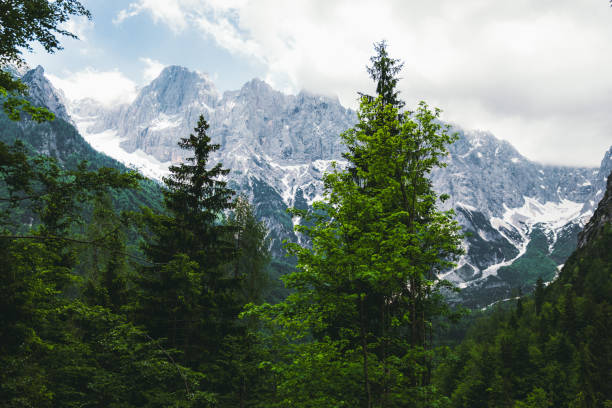 istock Sunny warm day in the Alps mountains 1210104743