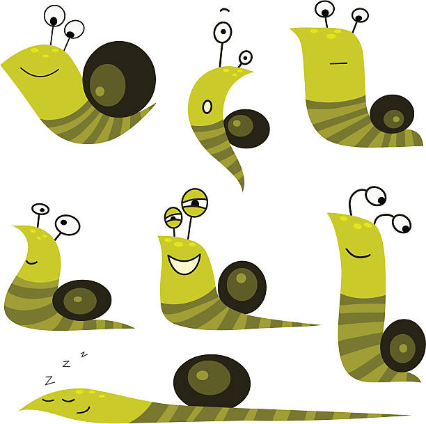 comic weinbergschnecke kollektion - snail white background isolated on white garden snail stock-grafiken, -clipart, -cartoons und -symbole