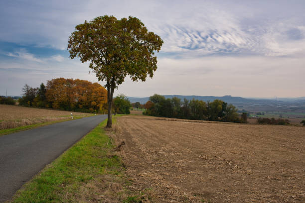 landcape with country road in the autumn
