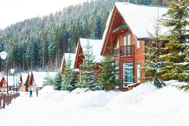 istock wooden house in winter forest 1210118354
