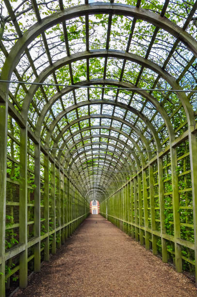 Arch alley in Hampton Court Garden, London, UK Arch alley in Hampton Court Garden, London, UK hampton court stock pictures, royalty-free photos & images