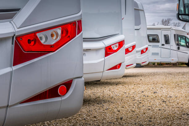 Row of RV's and campers with palm trees in the background
