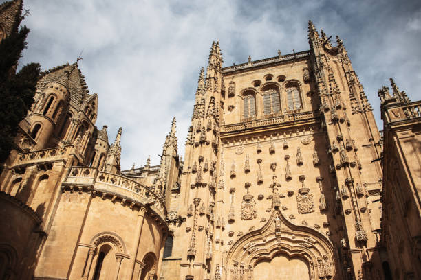 Main entrance to the New Cathedral in Salamanca, Spain Main entrance to the New Cathedral in Salamanca, Spain architectural stele stock pictures, royalty-free photos & images