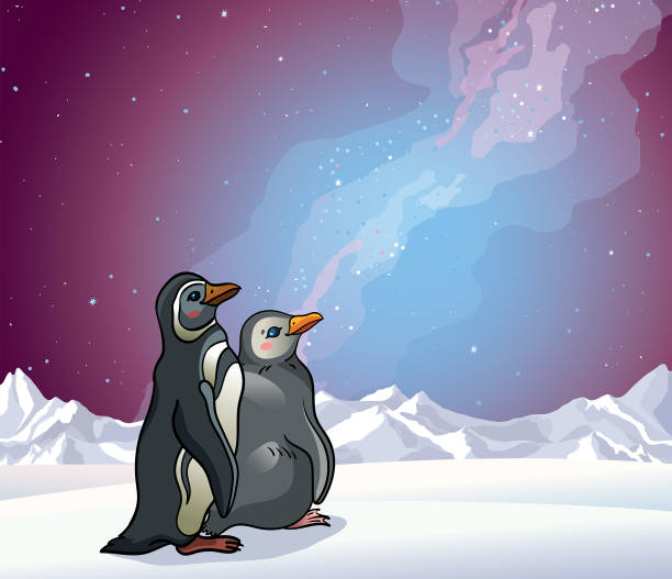 Penguins, mountains and night sky Two cartoon penguins, snowy mountains and night starry sky with milky way. Vector illustration with magellanic penguin. magellanic penguin stock illustrations