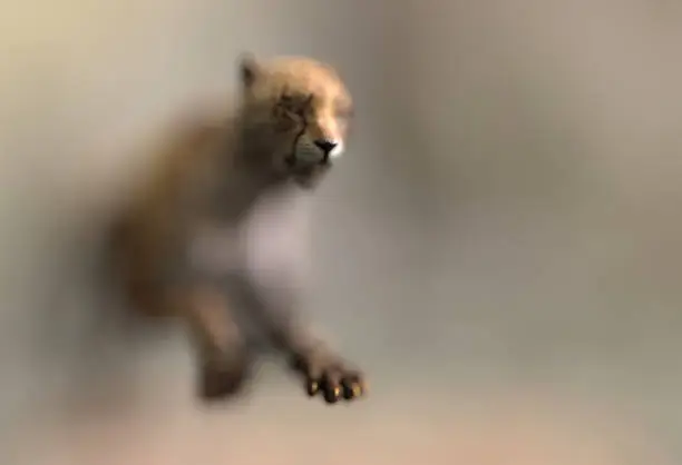 Photo of Blurred silhouette of a running cheetah in a jump with foreground focus and a blurry background. Creative illustration with copy space. 3D rendering.