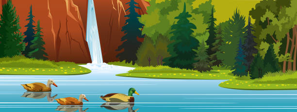 Ducks, lake, waterfall, forest. Summer nature. Summer vector illustration with wild nature. Cartoon ducks swimming in the lake near mountain with waterfall, green forest and blooming flowers. drake male duck illustrations stock illustrations