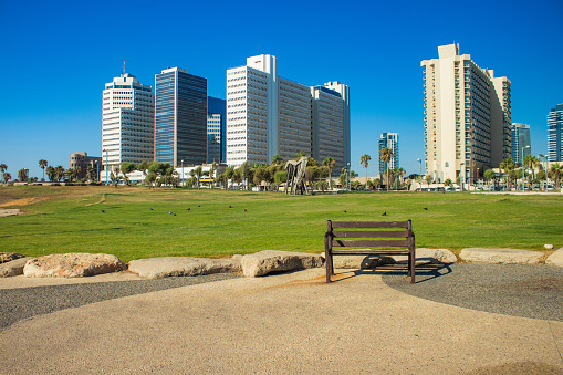Tel Aviv capital of Israel beautiful city landmark view skyscrapers modern building background and park square green grass meadow with paved walking road and empty wooden bench foreground