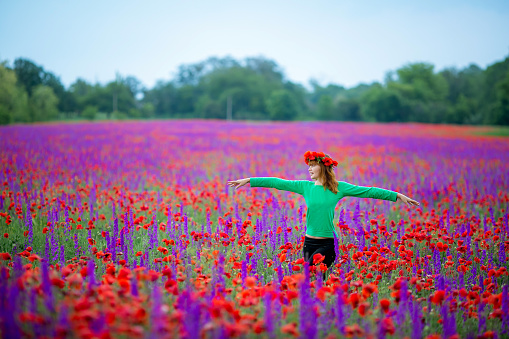 A woman walks on a field with red blue flowers. Beautiful woman on panorman photo of poppy field