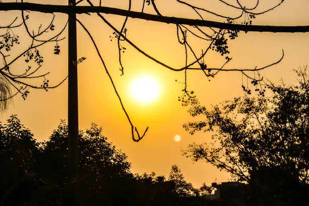 istock A picture of sunset 1210134344