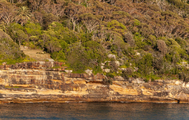 istock Green vegetation on North Head Cliffs at sunrise, Sydney, Australia. 1210136590
