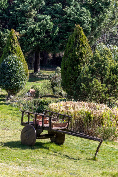 Decorative Old Cart in Garden, Turkey.